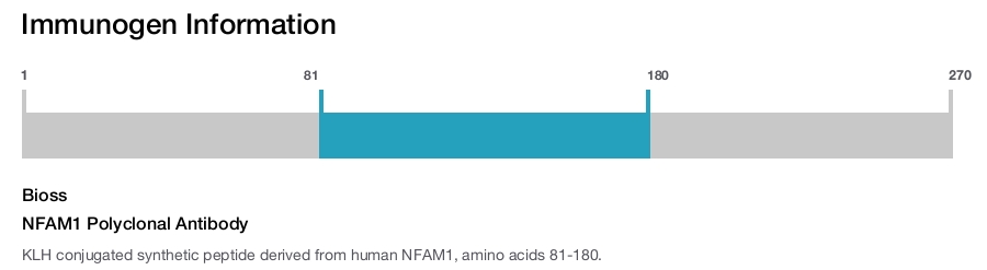 NFAM1 Polyclonal Antibody