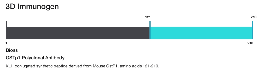 GSTp1 Polyclonal Antibody