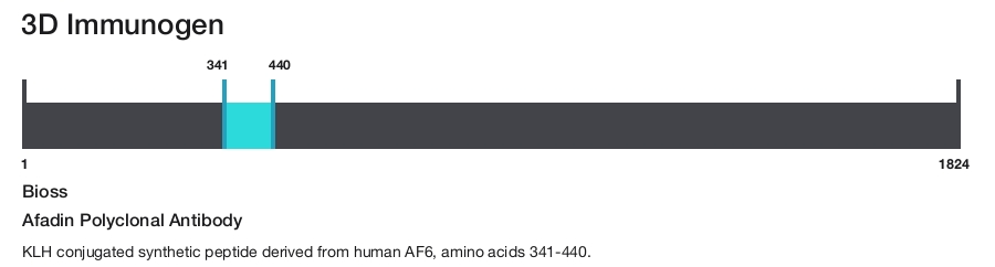 Afadin Polyclonal Antibody