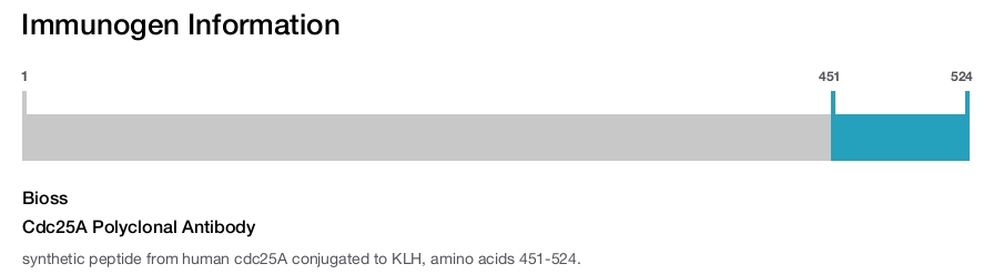 Cdc25A Polyclonal Antibody