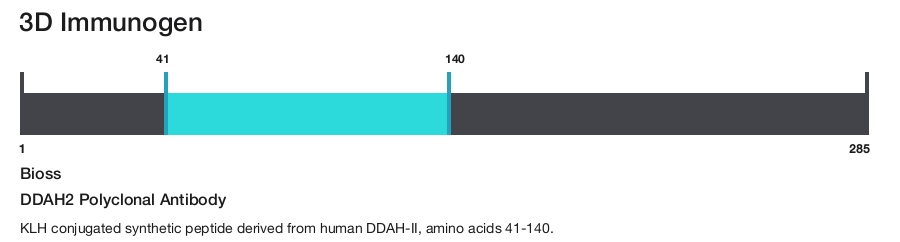 DDAH2 Polyclonal Antibody