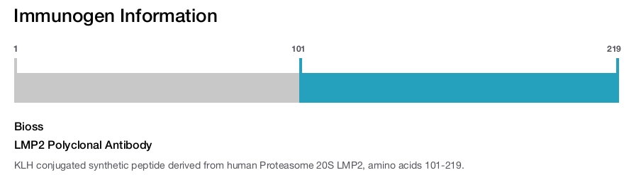 LMP2 Polyclonal Antibody