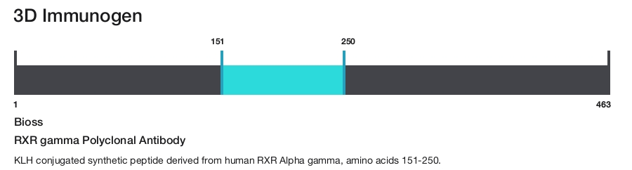 RXR gamma Polyclonal Antibody