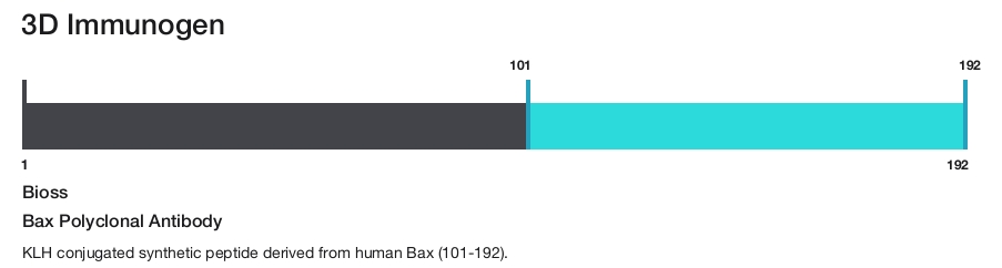 Bax Polyclonal Antibody
