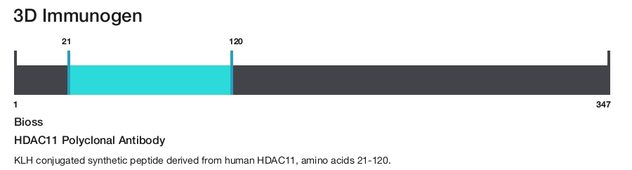 HDAC11 Polyclonal Antibody