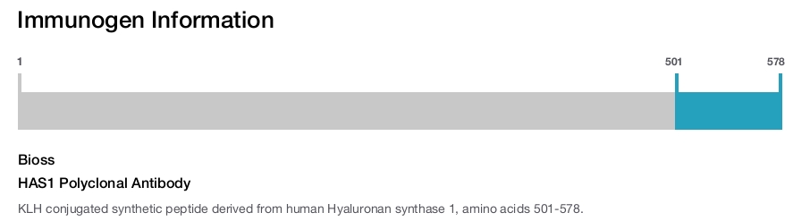 HAS1 Polyclonal Antibody
