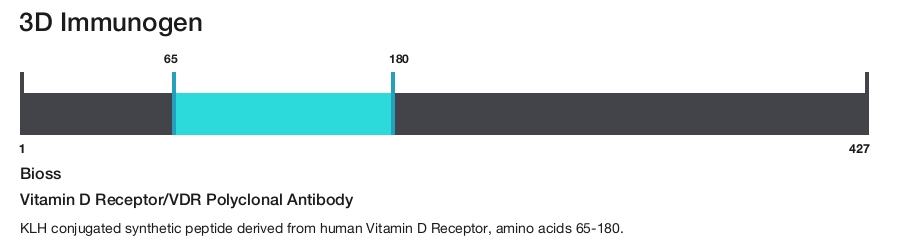 Vitamin D Receptor/VDR Polyclonal Antibody