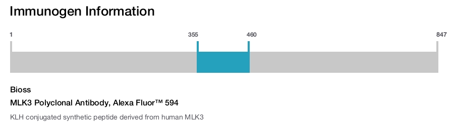 MLK3 Polyclonal Antibody, Alexa Fluor™ 594