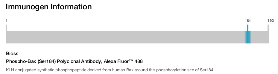 Phospho-Bax (Ser184) Polyclonal Antibody, Alexa Fluor™ 488