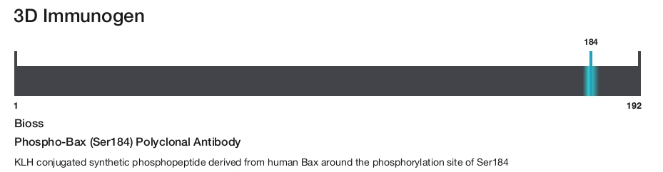 Phospho-Bax (Ser184) Polyclonal Antibody