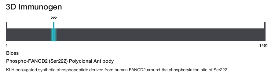Phospho-FANCD2 (Ser222) Polyclonal Antibody