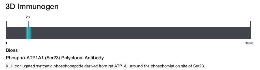 Phospho-ATP1A1 (Ser23) Polyclonal Antibody