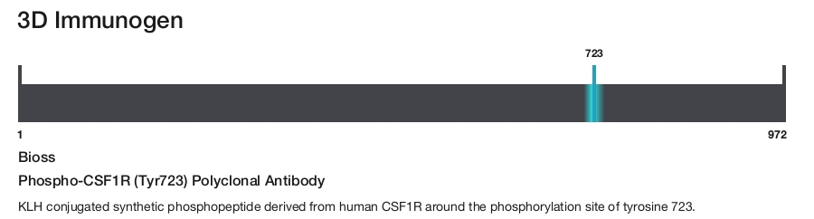 Phospho-CSF1R (Tyr723) Polyclonal Antibody