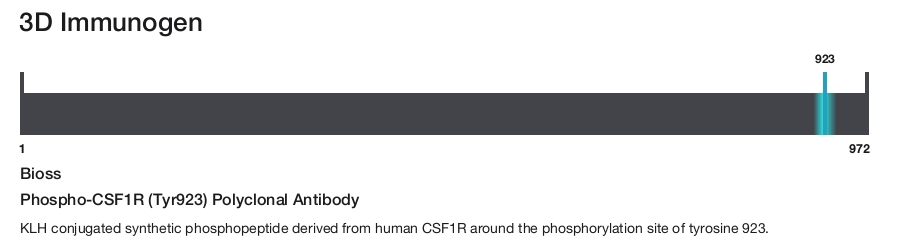 Phospho-CSF1R (Tyr923) Polyclonal Antibody