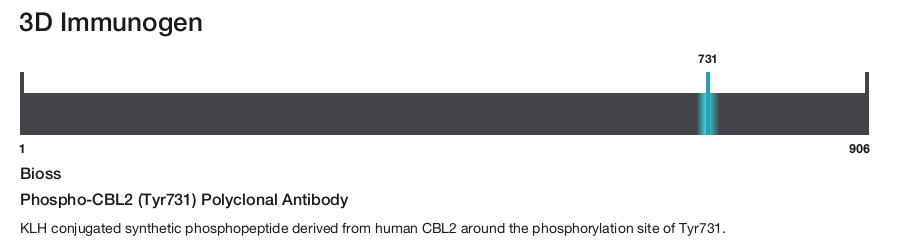Phospho-CBL2 (Tyr731) Polyclonal Antibody