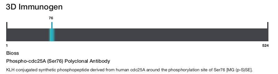Phospho-cdc25A (Ser76) Polyclonal Antibody