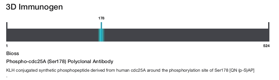 Phospho-cdc25A (Ser178) Polyclonal Antibody
