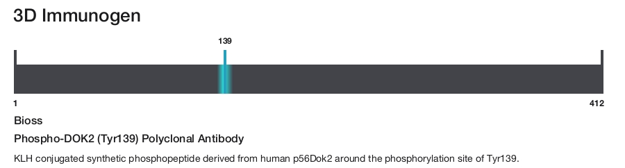 Phospho-DOK2 (Tyr139) Polyclonal Antibody