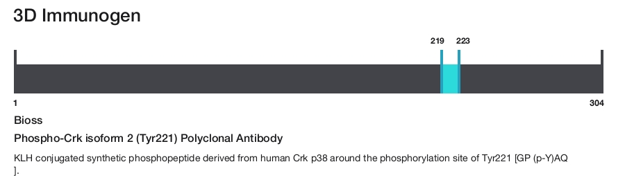 Phospho-Crk isoform 2 (Tyr221) Polyclonal Antibody