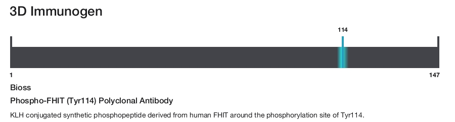 Phospho-FHIT (Tyr114) Polyclonal Antibody