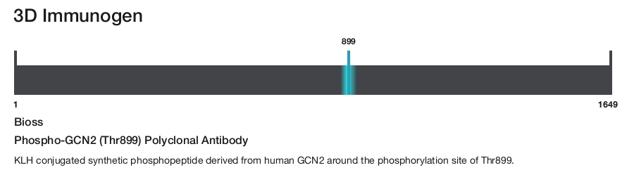 Phospho-GCN2 (Thr899) Polyclonal Antibody