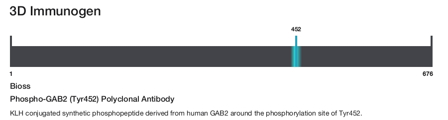 Phospho-GAB2 (Tyr452) Polyclonal Antibody