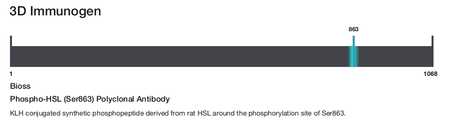 Phospho-HSL (Ser863) Polyclonal Antibody