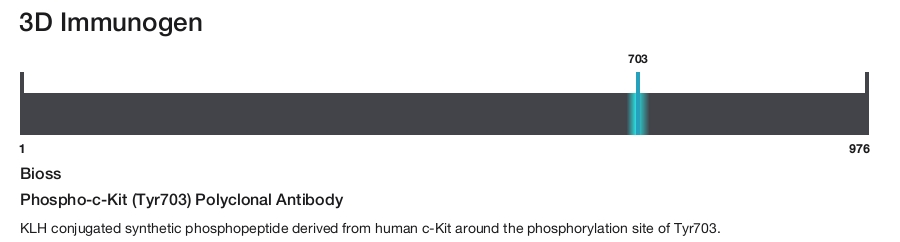 Phospho-c-Kit (Tyr703) Polyclonal Antibody