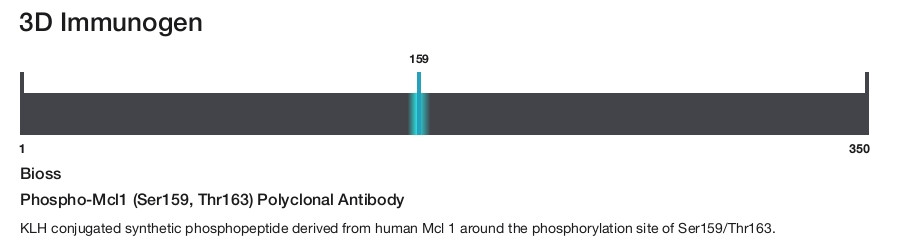 Phospho-Mcl1 (Ser159, Thr163) Polyclonal Antibody