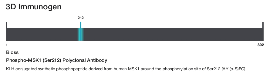 Phospho-MSK1 (Ser212) Polyclonal Antibody