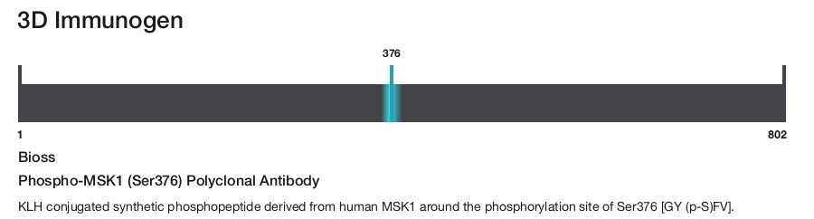 Phospho-MSK1 (Ser376) Polyclonal Antibody
