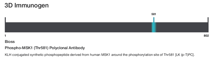 Phospho-MSK1 (Thr581) Polyclonal Antibody