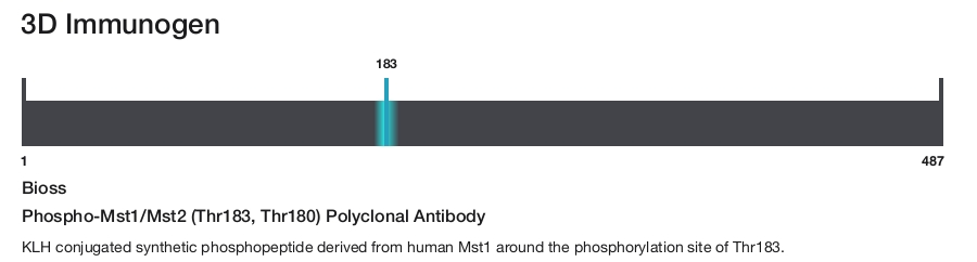 Phospho-Mst1/Mst2 (Thr183, Thr180) Polyclonal Antibody