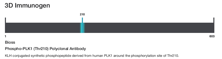 Phospho-PLK1 (Thr210) Polyclonal Antibody