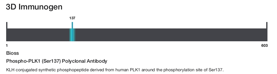 Phospho-PLK1 (Ser137) Polyclonal Antibody