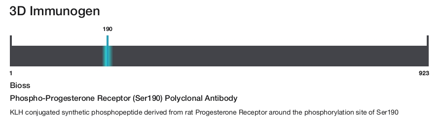 Phospho-Progesterone Receptor (Ser190) Polyclonal Antibody