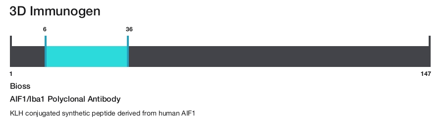 AIF1/Iba1 Polyclonal Antibody