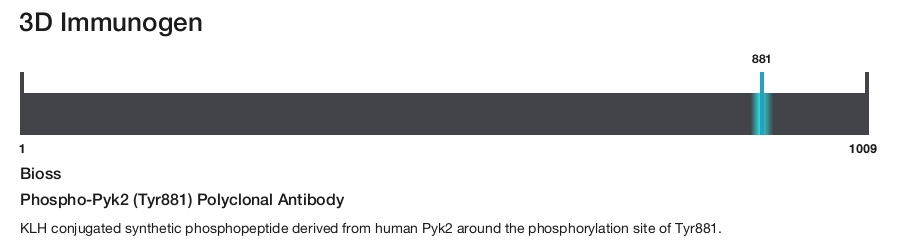 Phospho-Pyk2 (Tyr881) Polyclonal Antibody