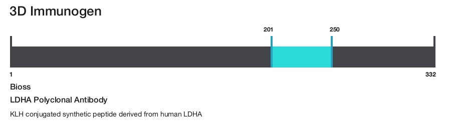 LDHA Polyclonal Antibody