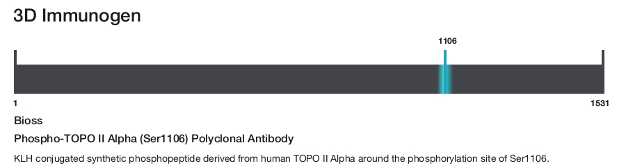 Phospho-TOPO II Alpha (Ser1106) Polyclonal Antibody