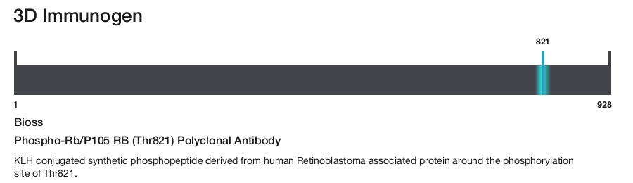 Phospho-Rb/P105 RB (Thr821) Polyclonal Antibody