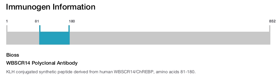 WBSCR14 Polyclonal Antibody