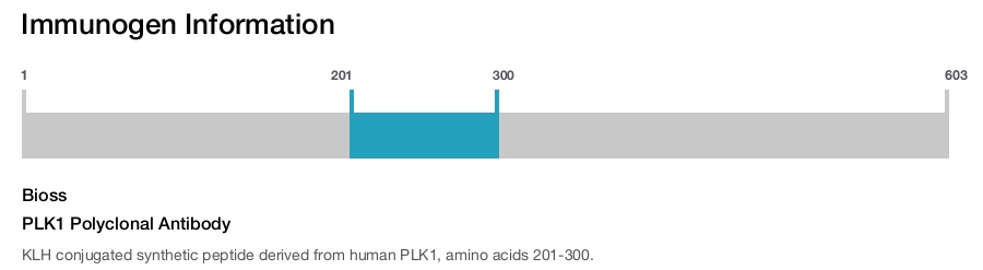 PLK1 Polyclonal Antibody