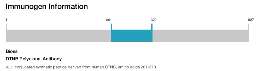 DTNB Polyclonal Antibody