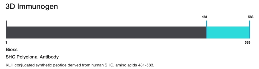 SHC Polyclonal Antibody