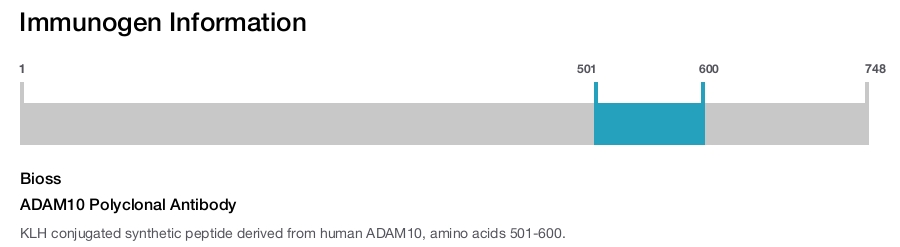ADAM10 Polyclonal Antibody