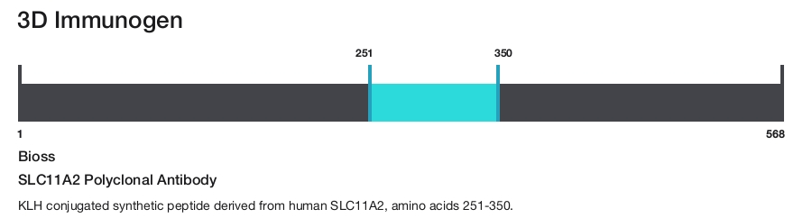 SLC11A2 Polyclonal Antibody