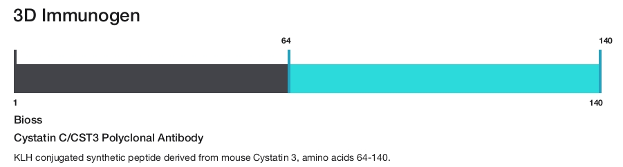 Cystatin C/CST3 Polyclonal Antibody