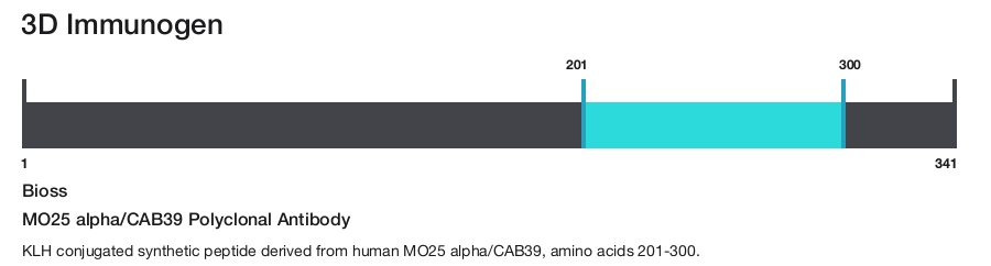 MO25 alpha/CAB39 Polyclonal Antibody