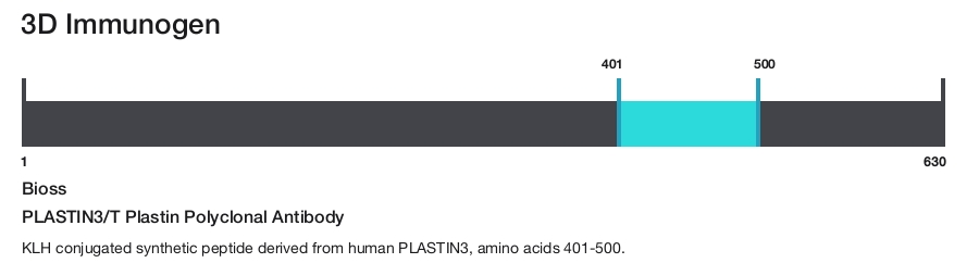 PLASTIN3/T Plastin Polyclonal Antibody